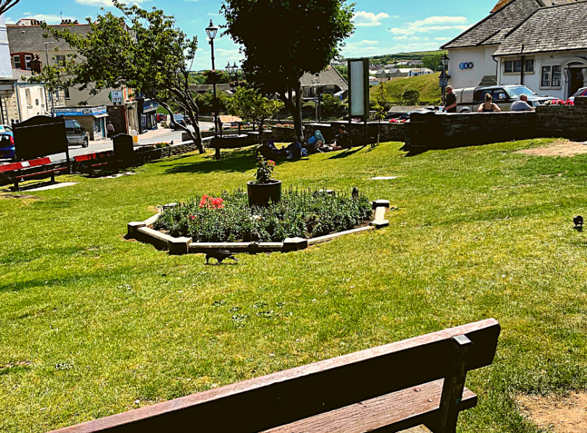 Untitled design – 2022-08-01T121505.493